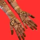 Bridal Mehndi Design icon