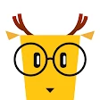 LingoDeer - Learn Languages icon