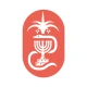 הר"י - ההסתדרות הרפואית בישראל icon