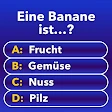 Millionär - Quiz & Trivia icon