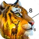 Wild Color - Paint by Number icon