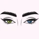 Diseña tus cejas paso a paso icon