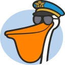 Flipo.pl icon