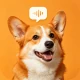 Pet Translator: Fun Sounds icon