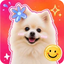 Sticker Maker Studio & Editor icon