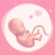 Εγκυμοσύνη: pregnancy icon