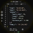 Programmer Watch Face icon
