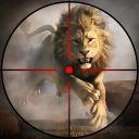 התנגשות ציד בעלי חיים בספארי icon