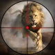 התנגשות ציד בעלי חיים בספארי icon