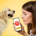 犬語翻訳アプリ: 犬の言葉がわかるアプリ icon