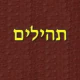 תהילים icon