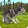 WildCraft: Animal Sim Online icon