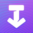 Any Video Downloader SSSTiktok icon