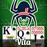 Vita Spider Solitaire icon
