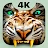 Roaring Tiger Live Wallpaper icon