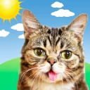 Weather BUB icon
