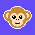 Monkey - random video chat icon