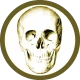 Anatomie Quiz Pro icon