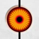 Sentry Pro for Tesla icon