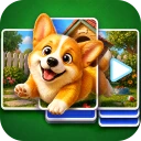 Video Solitaire: Live Cards icon