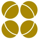 רולדין icon