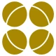 רולדין icon