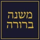 משנה ברורה - Mishna Berura icon