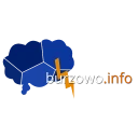 Burzowo.info - Mapa burzowa icon