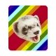 eFerret - Alerts for eBay icon