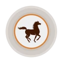 Pocket Bank icon