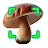 Mushroom Identification icon