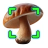 Pilze per Foto bestimmen icon