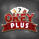 Okey Plus icon