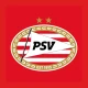 PSV icon