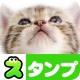 猫スタンプ（実写スタンプ） icon