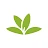 PlantNet Identification Plante icon