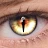 FoxEyes - Change Eye Color icon