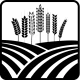 Hektar Wiedzy icon
