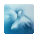 Pismo Święte z komentarzem icon
