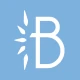 Bosko icon