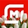 Магнит: акции и доставка icon