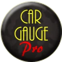 Car Gauge Pro (OBD2 + Enhance) icon