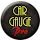 Car Gauge Pro (OBD2 + Enhance) icon
