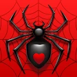 Spider Solitaire icon