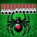 Spider Solitaire - Card Games icon