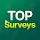 TopSurveys: Sondages rémunérés icon