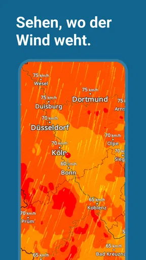 Wetter Online - RegenRadar screenshot