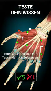 3D-Anatomie - Anatomy Learning screenshot