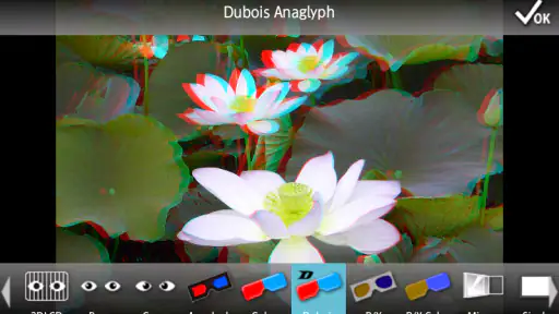 3DSteroid Pro screenshot