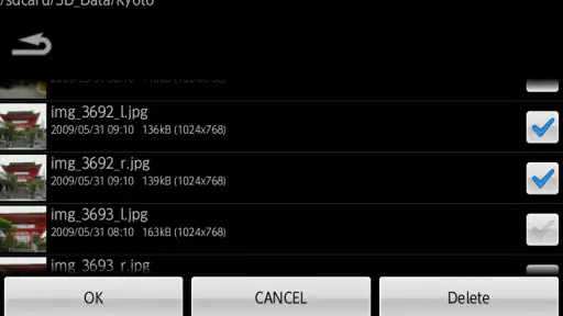 3DSteroid Pro screenshot